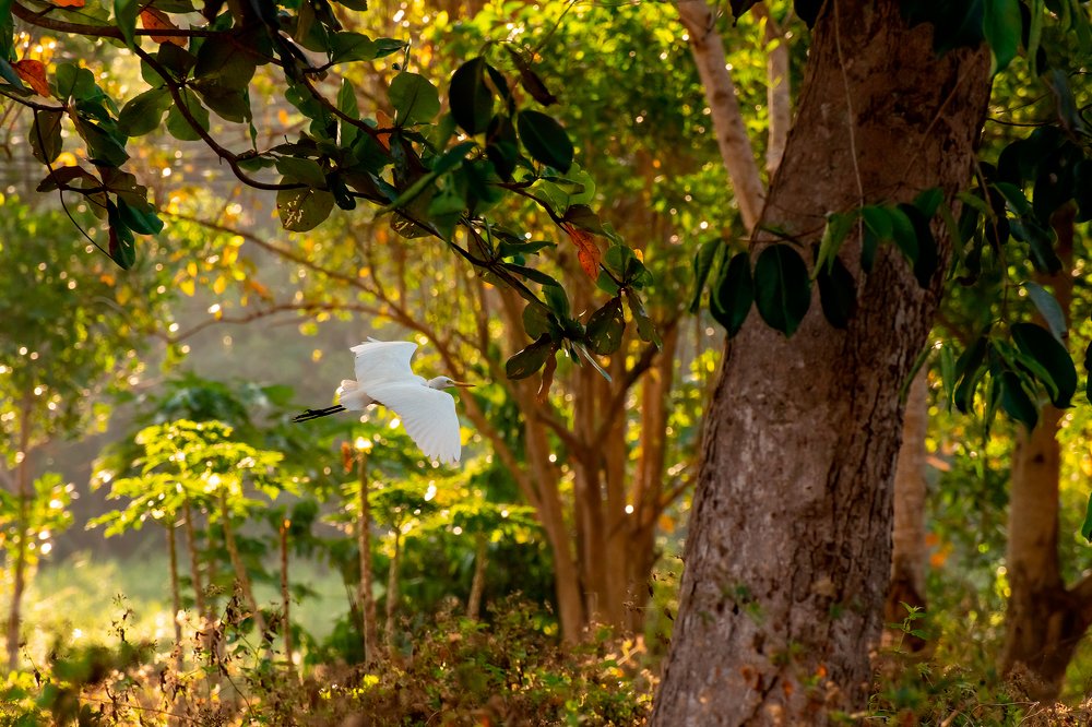 Photograph by Евгений Фомин