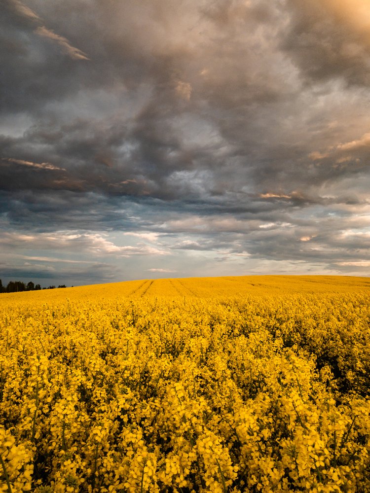 Photograph by Ирина Семёнова