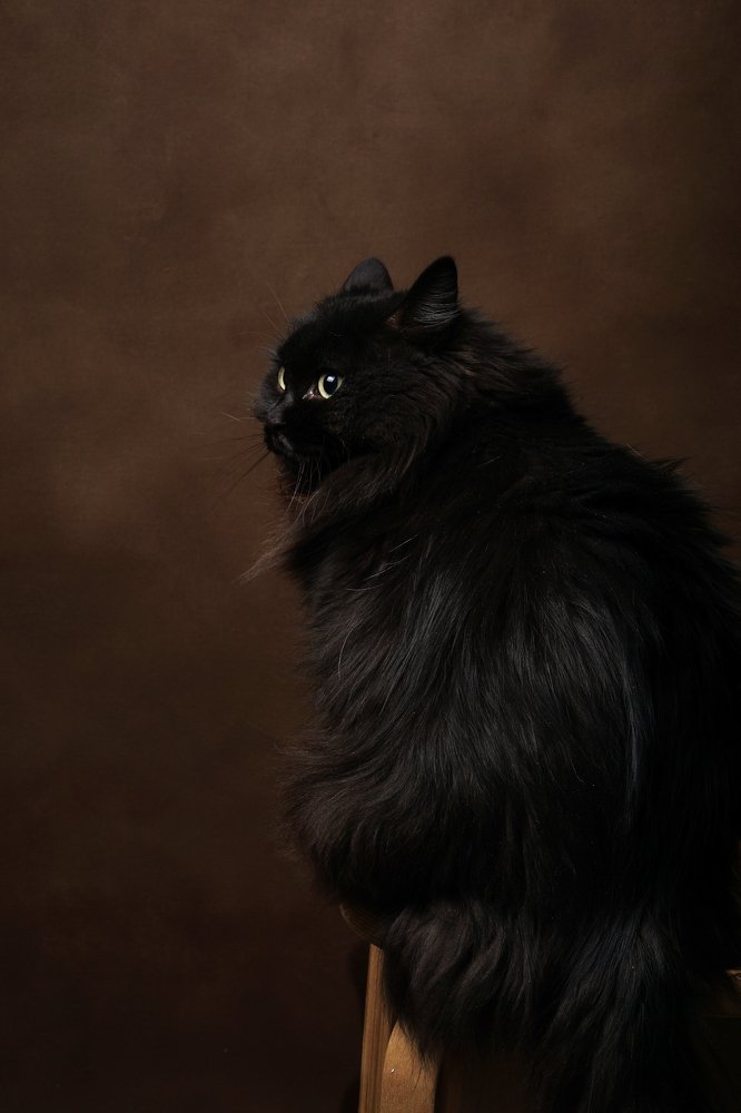 Photograph by Екатерина Моргун