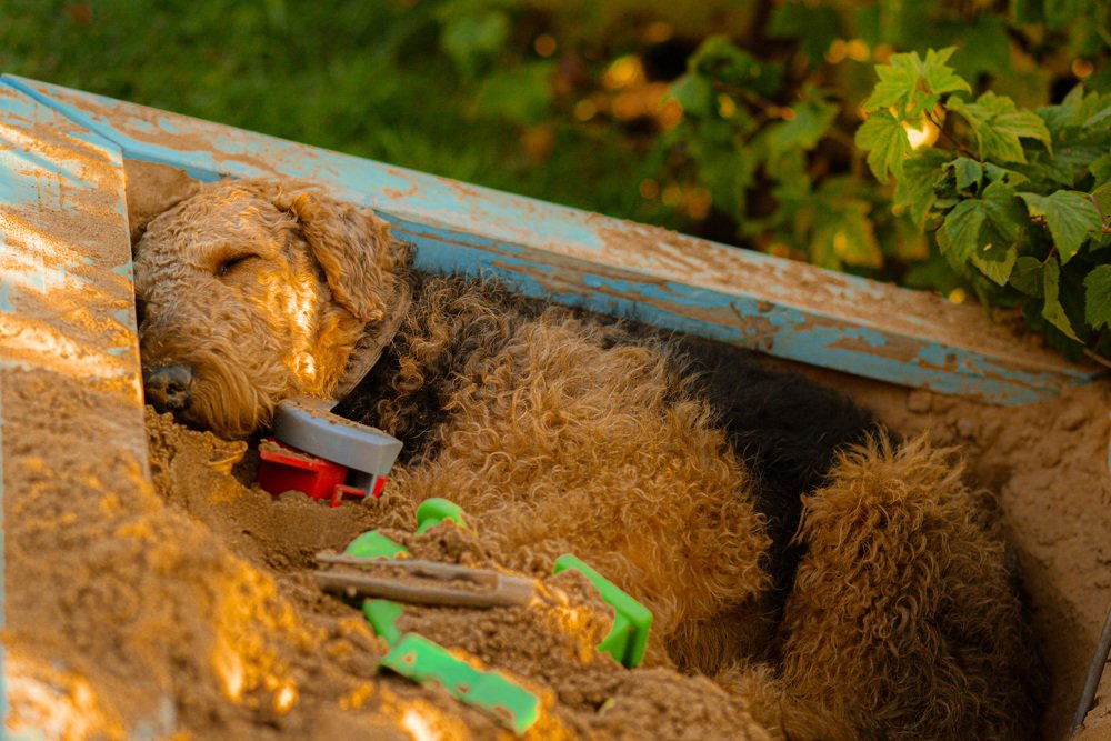 Photograph by Ольга Темкина