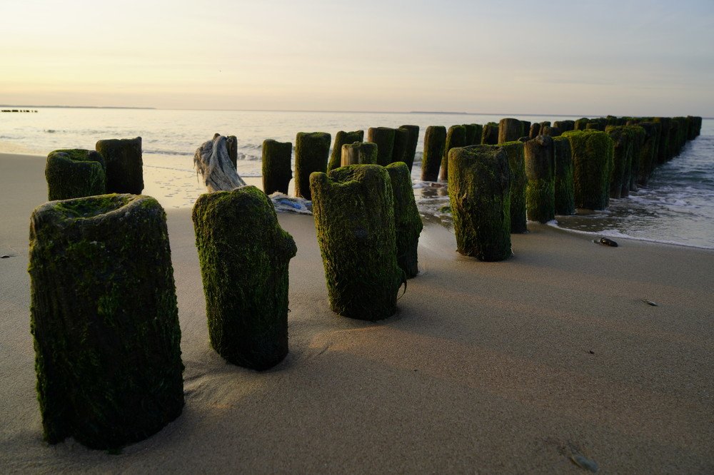 Photograph by Антон Ягунов