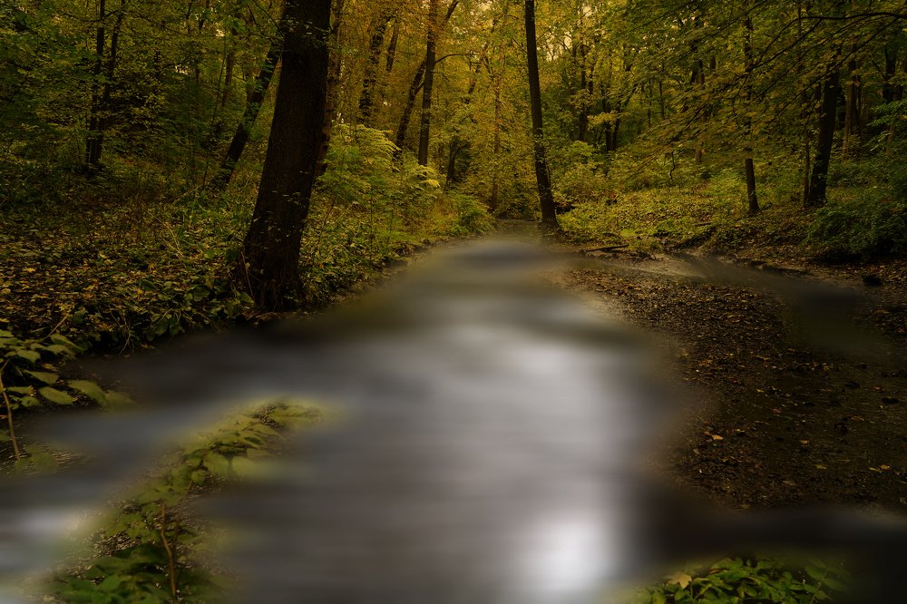 Photograph by Антон Ягунов