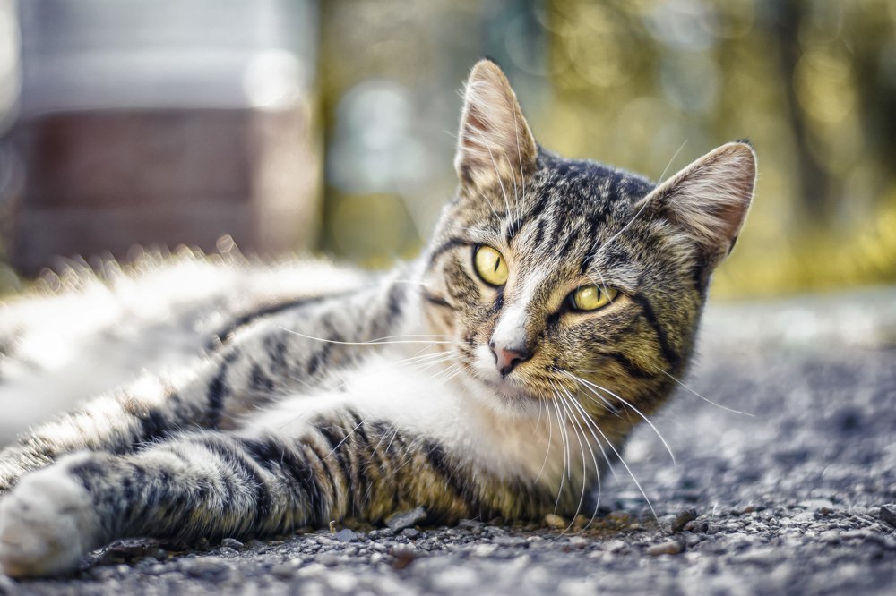 Photograph by Егор Синицын