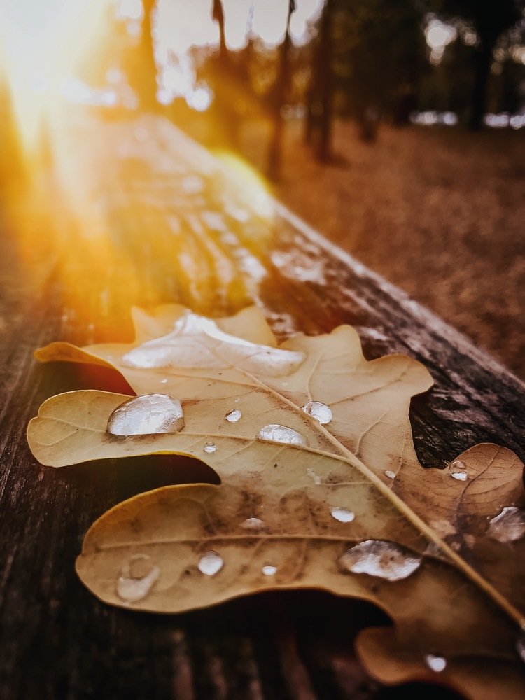 Photograph by Сергей Бойко