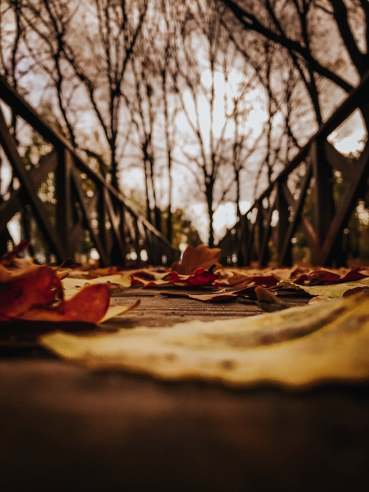 Photograph by Сергей Бойко