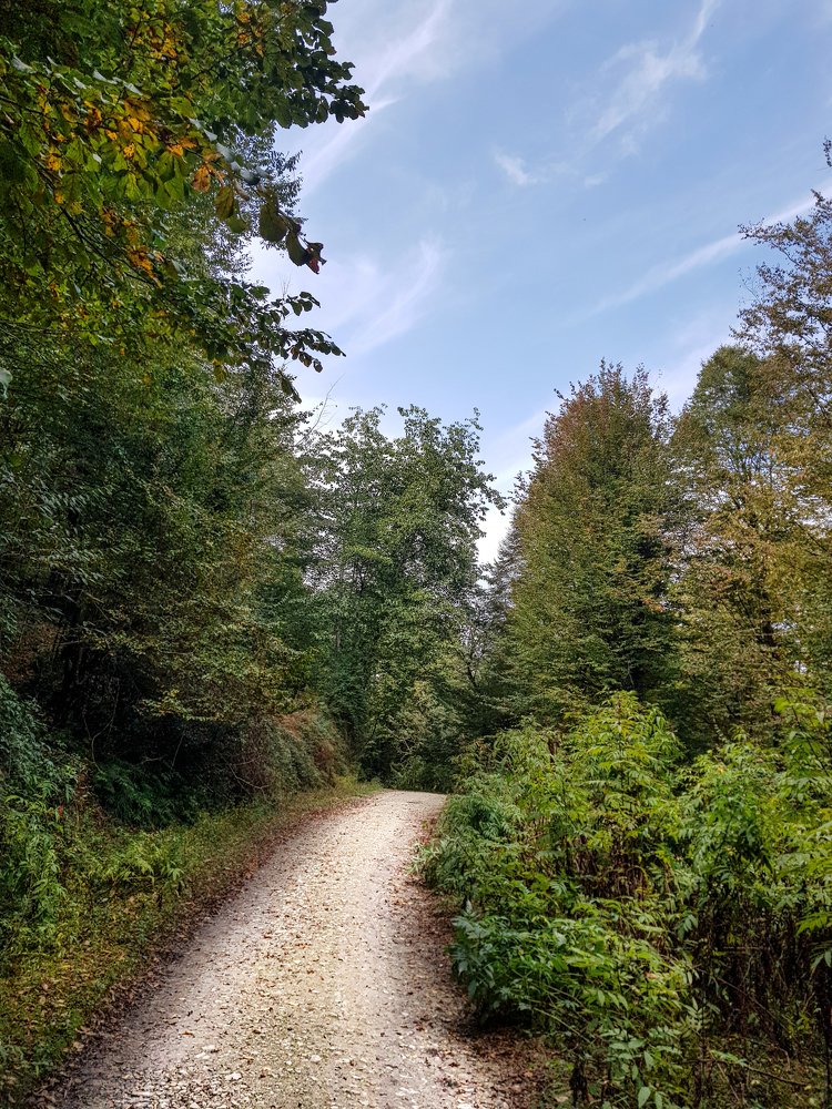 Фотография автора Nima Nezafat Yazdi