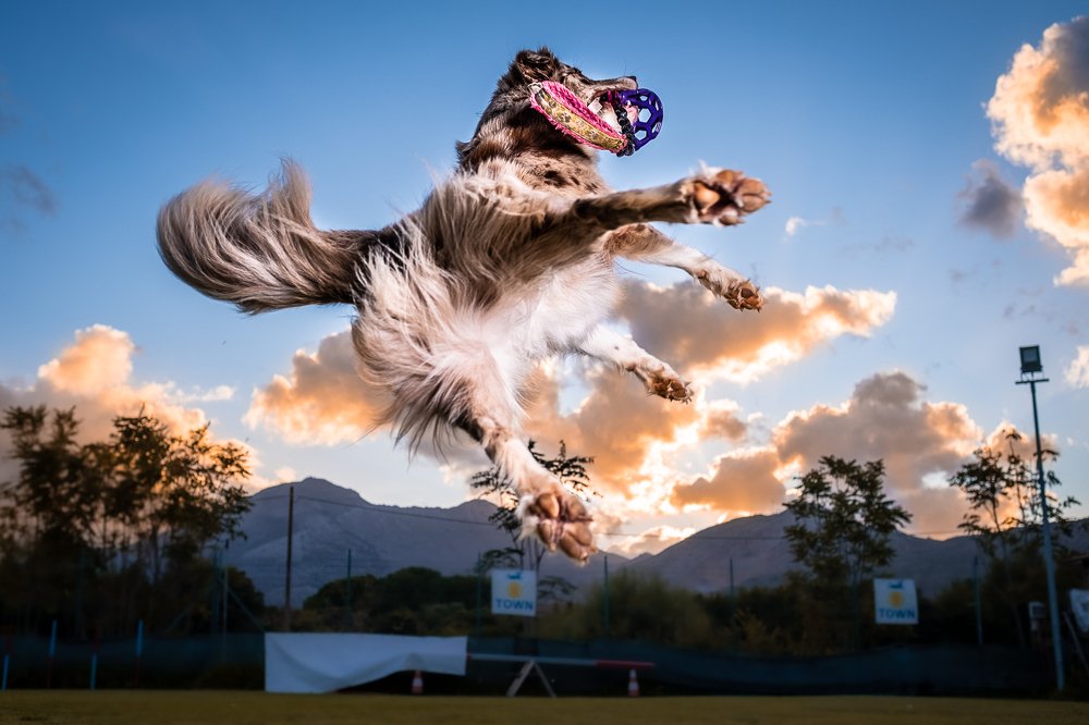 Photograph by Luca Gandin