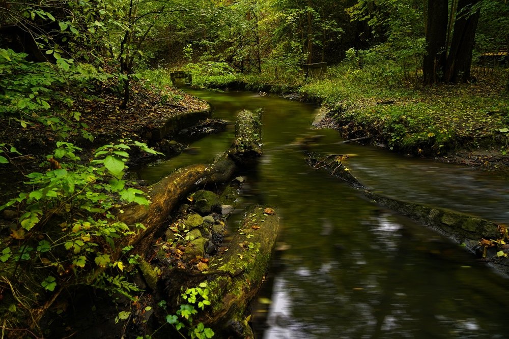 Photograph by Антон Ягунов