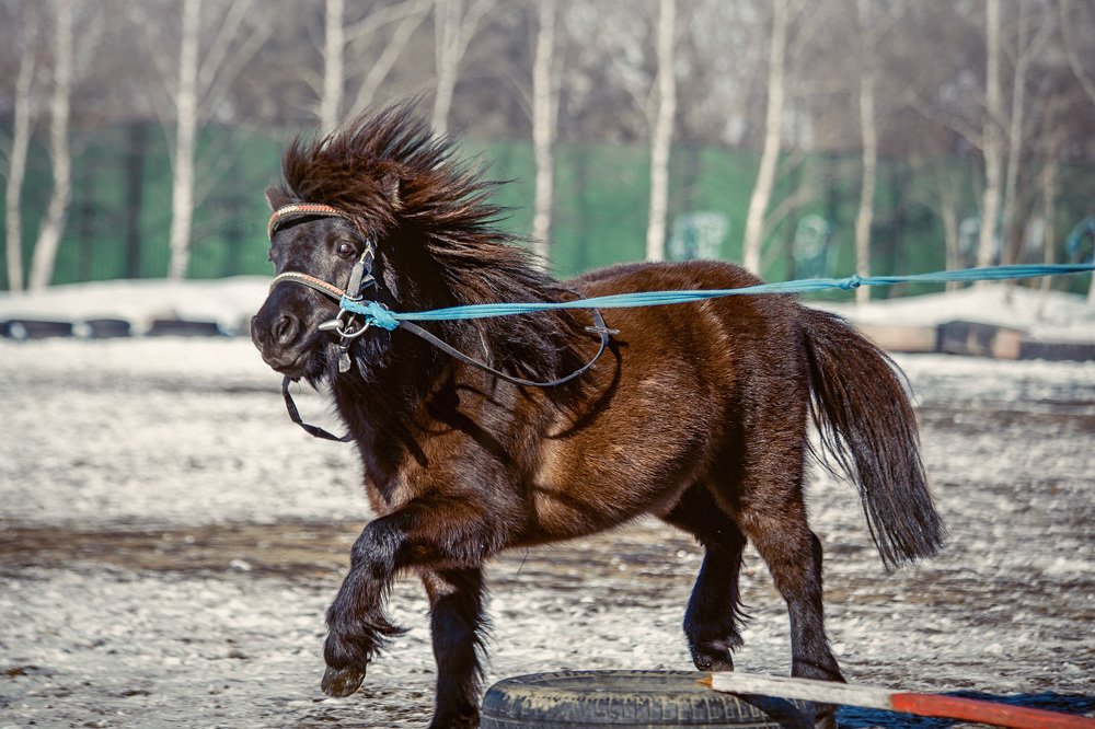 Photograph by Andrey Matveenko