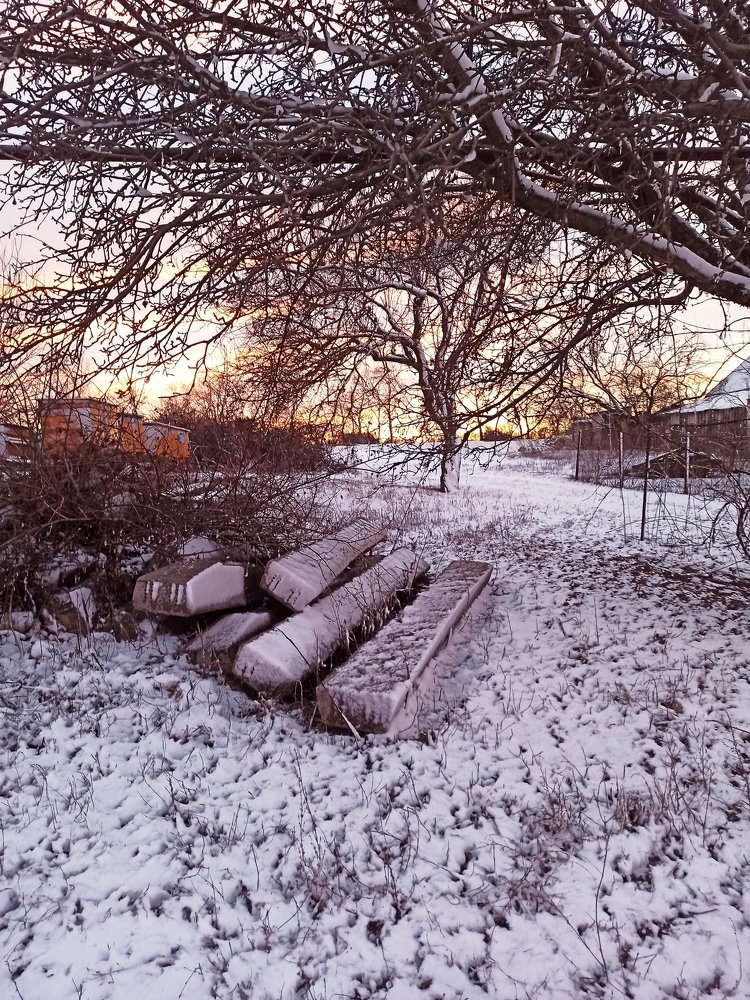 Фотография автора Ольга Тютюнник