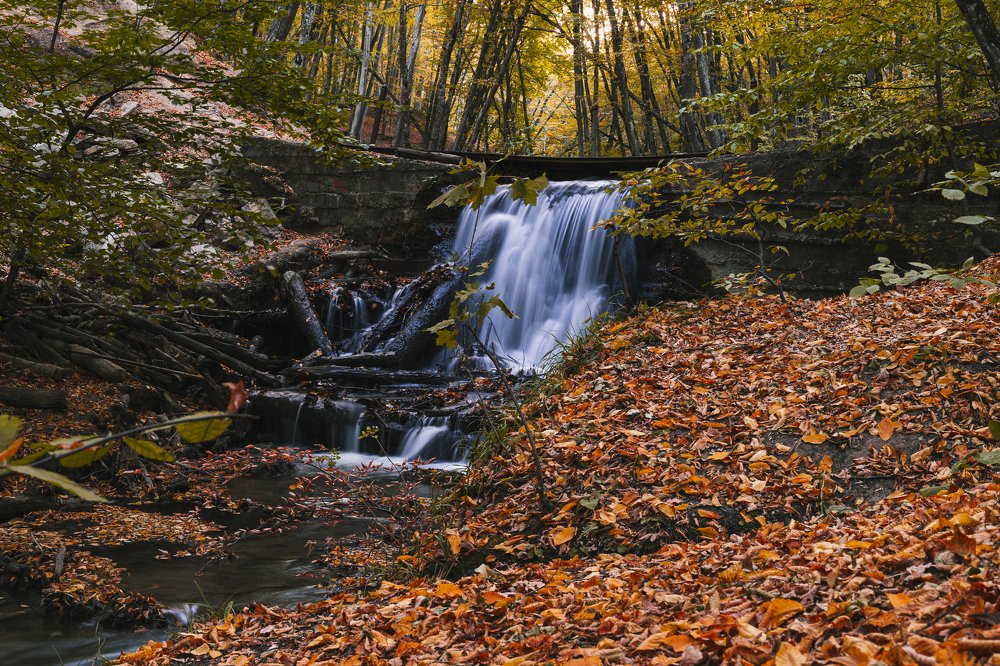 Photograph by Виктор Зотов