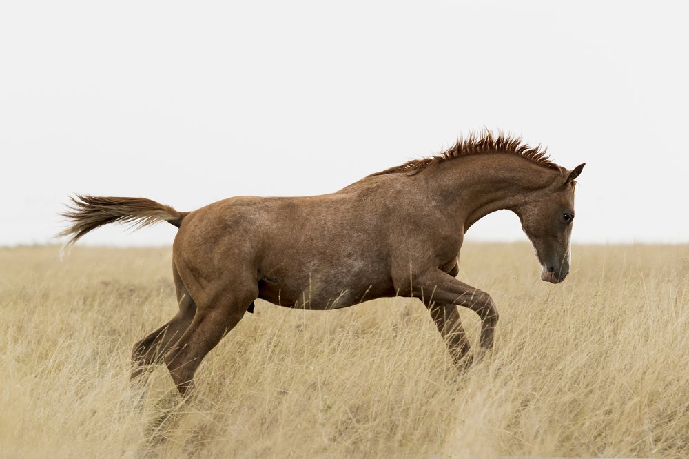 Photograph by Константин Кукушкин