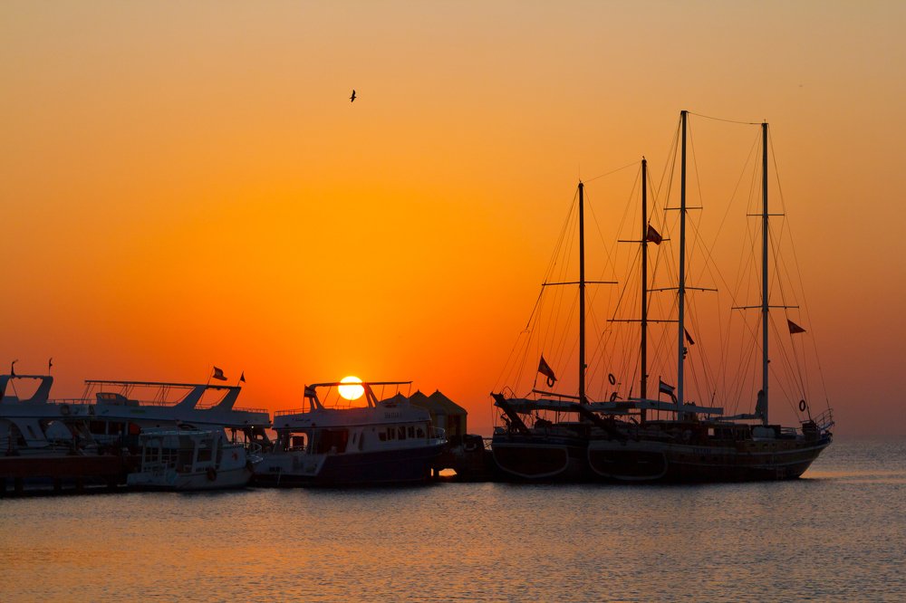 Photograph by Денис Сухачев