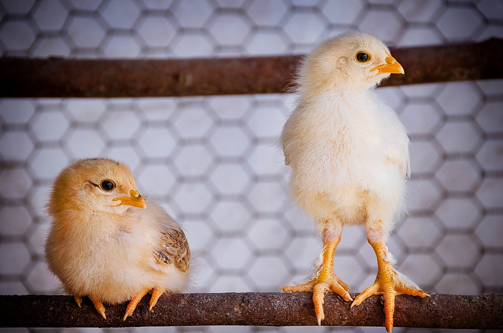 Photograph by Олеся