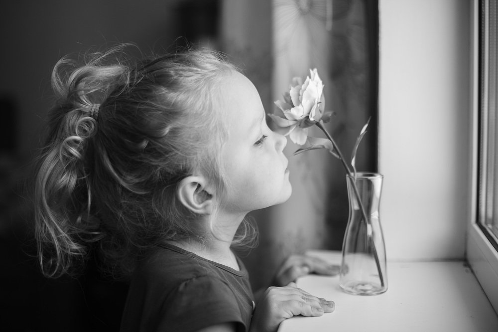 Фотография автора Крылова Алёна