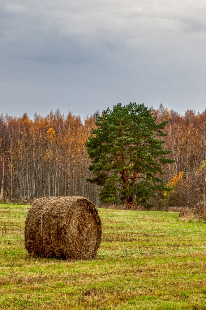 Photograph by Евгений Фомин