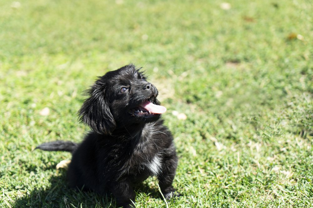 Фотография автора Ирина Зайцева