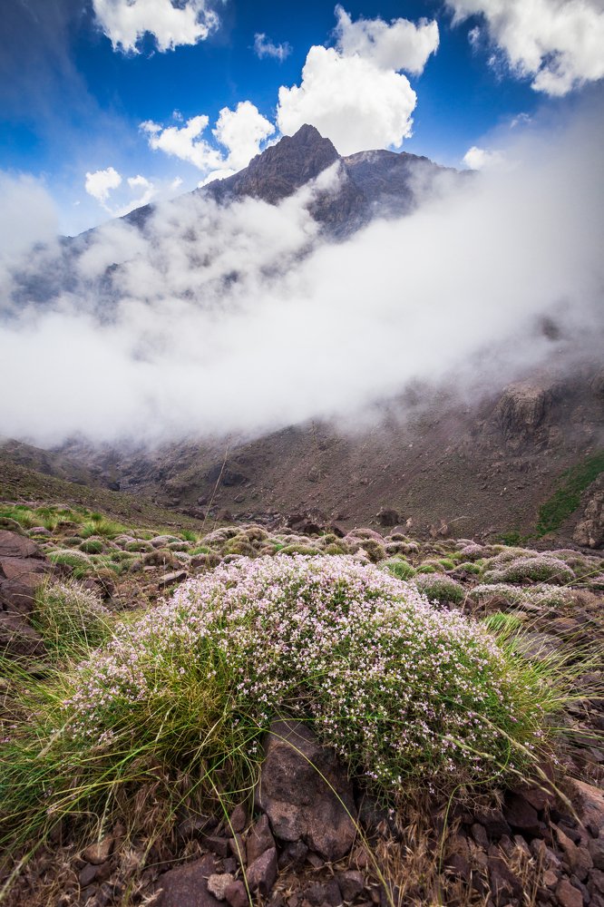 Photograph by Younes Ezzentri