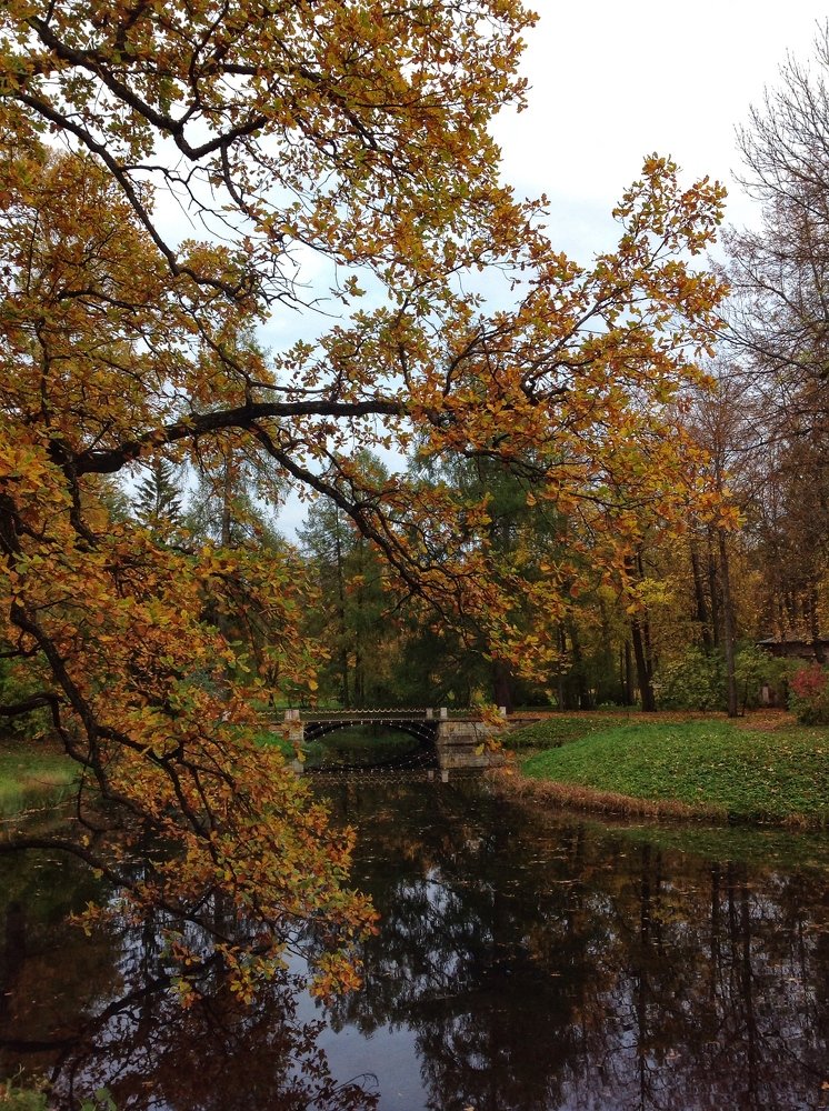 Photograph by Елена Амосова