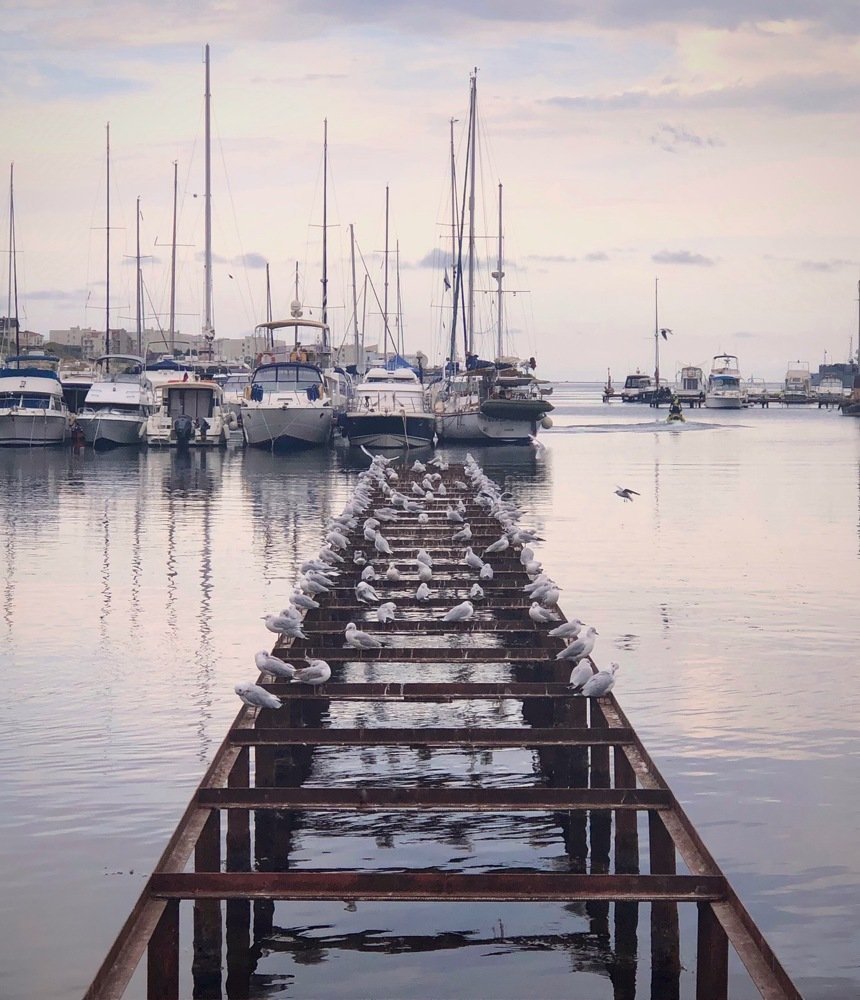 Photograph by Ирина Малик