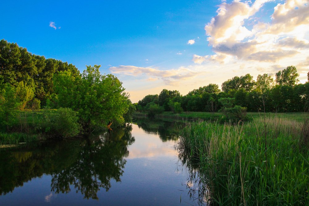 Photograph by Дмитрий Тимин