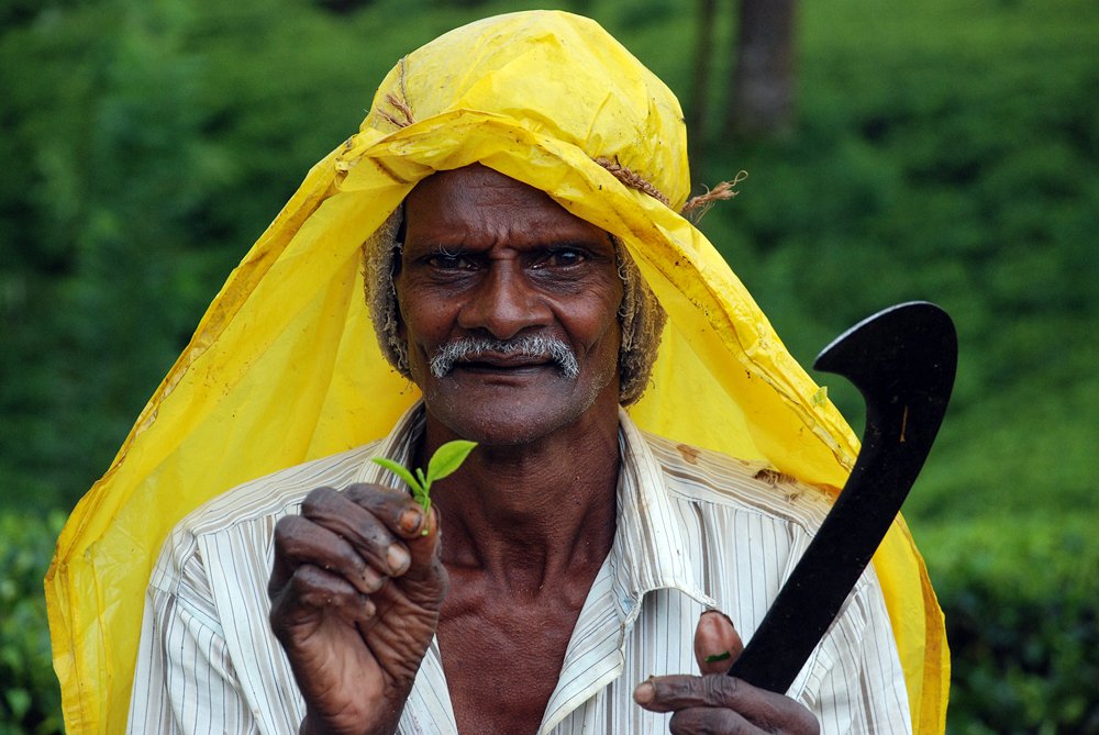 Photograph by Сергей Шварцман