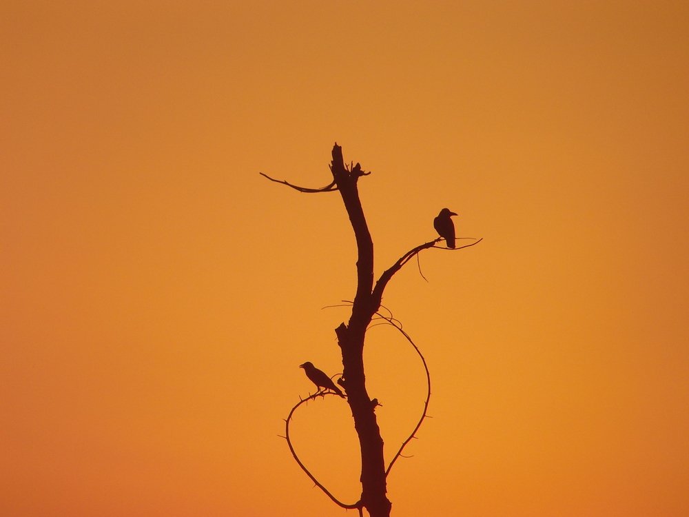 Photograph by Imran Allah Rakha
