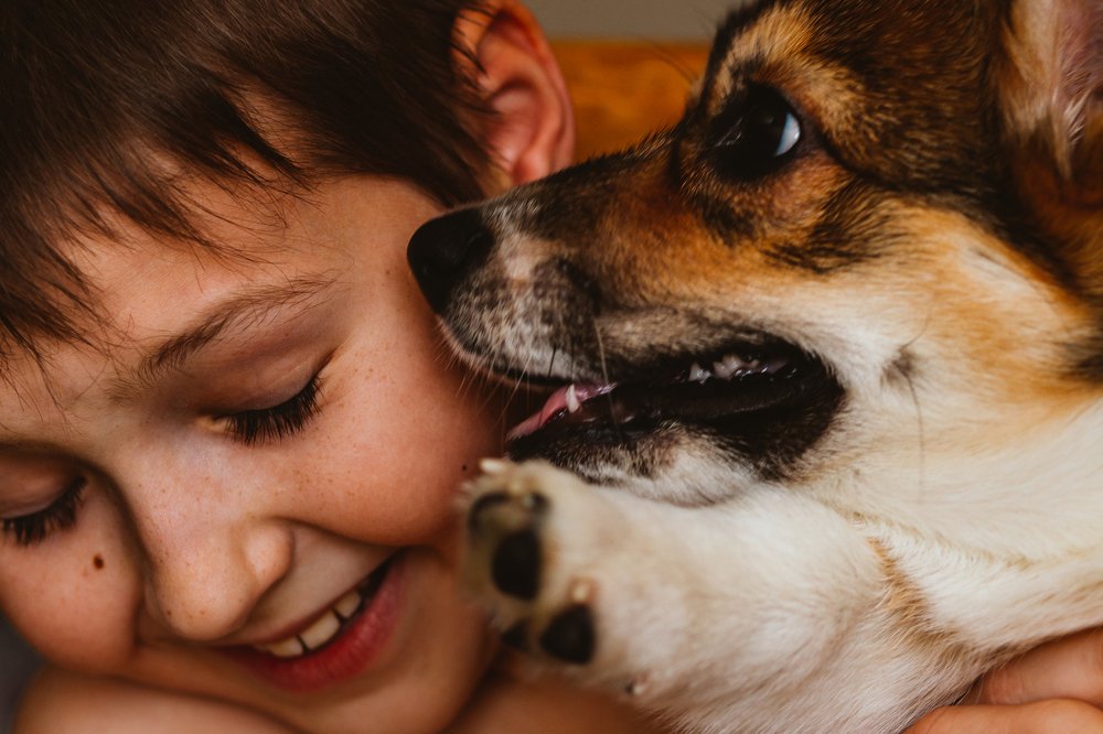 Photograph by Светлана