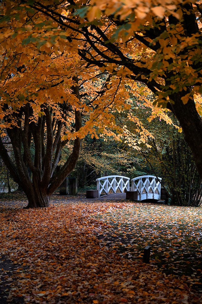 Photograph by Jürgen Wöhrle