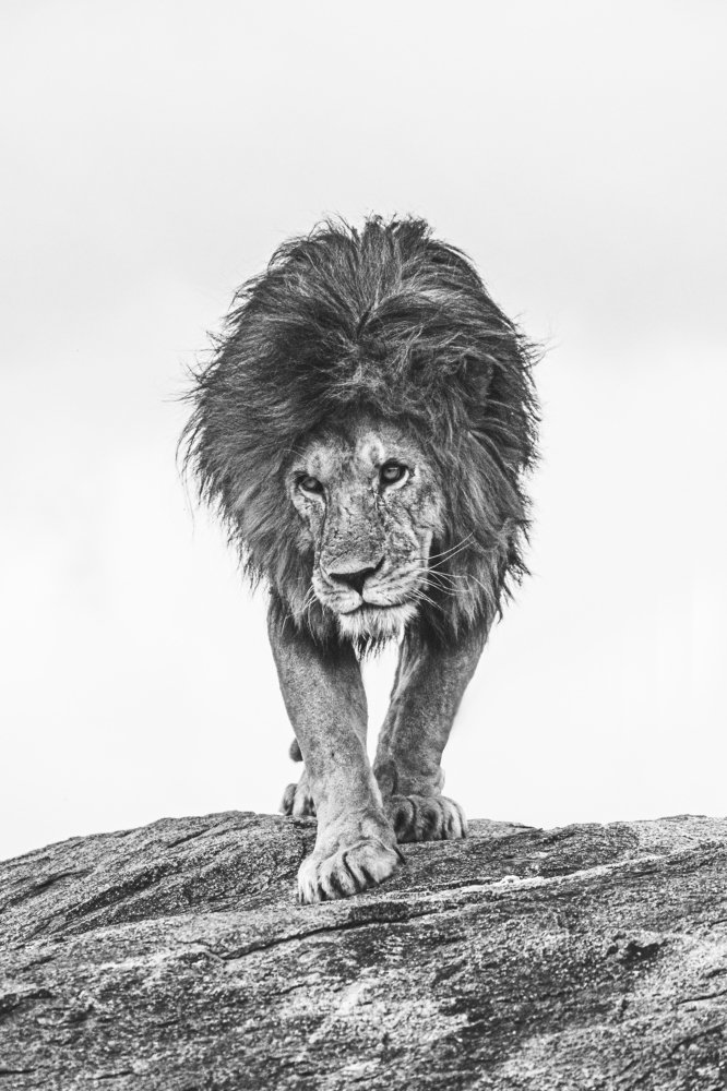 Photograph by Furqan Ali