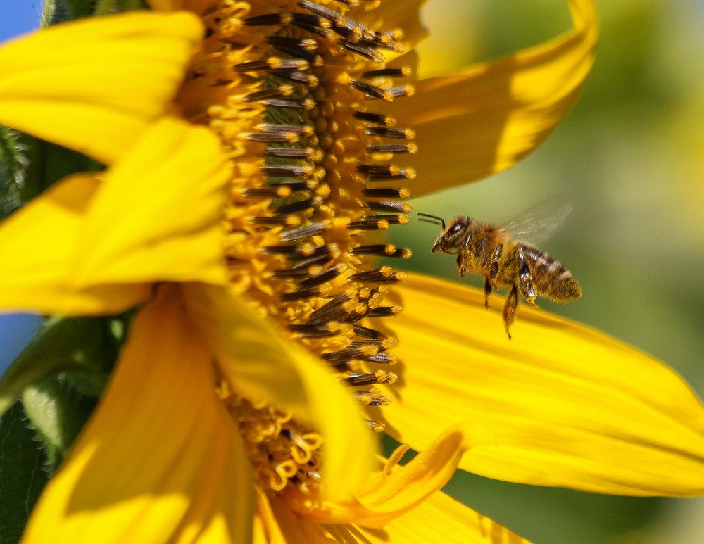 Photograph by Hell Boy