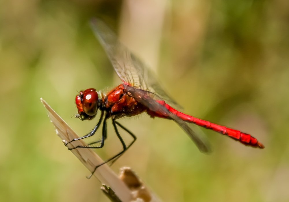 Photograph by Hell Boy