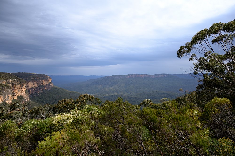 Photograph by Jürgen Wöhrle