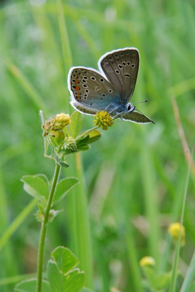 Ещё секунда и взлёт!