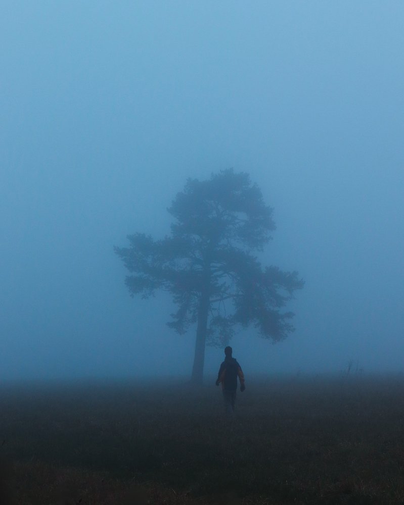 Photograph by Melich Samuel