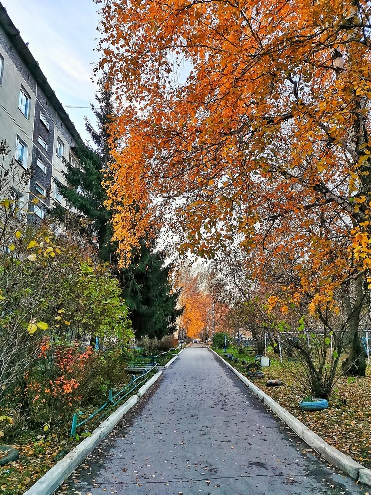 Photograph by Vyacheslav Monoszon