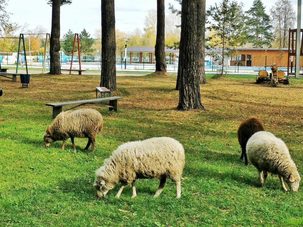 Photograph by Vyacheslav Monoszon