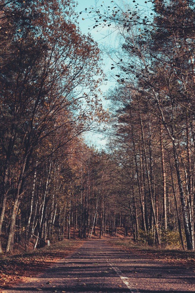 Photograph by Анна Лисейцева