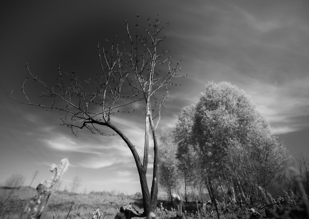 Photograph by Сергей Шерстнев