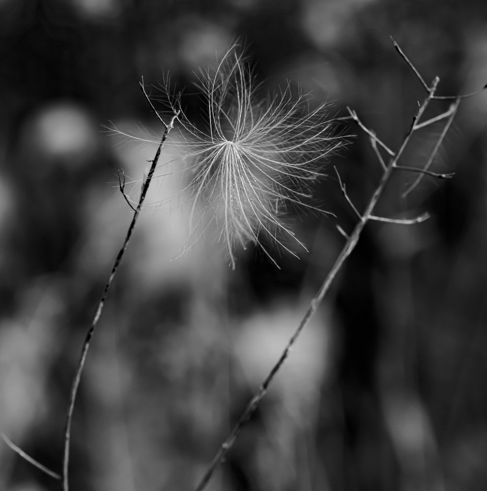 Photograph by Сергей Шерстнев