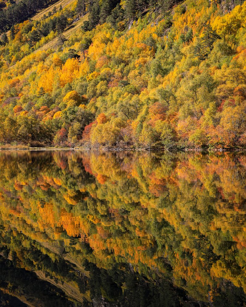 Photograph by Сергей Гук