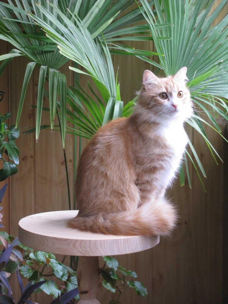 Photograph by Любовь Матвеева