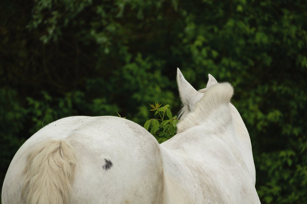 Photograph by Юрий Беляев
