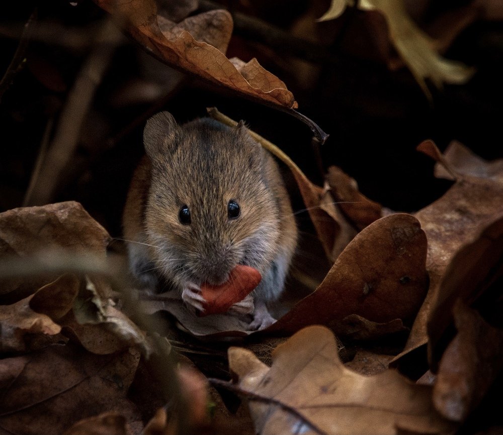 Photograph by Olga Zheltova