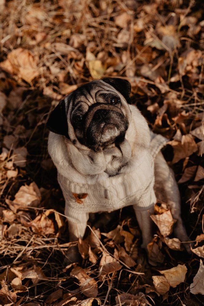 Photograph by Алексей Челноков