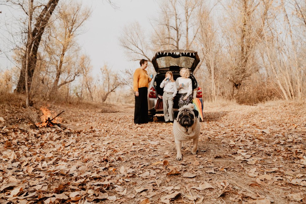 Photograph by Алексей Челноков