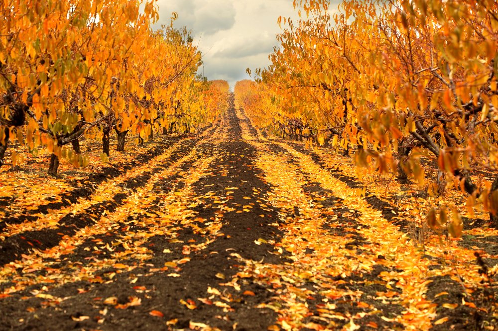 Photograph by Валерия Маркова