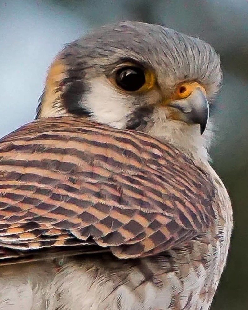 Photograph by Karina Elena Bergagna