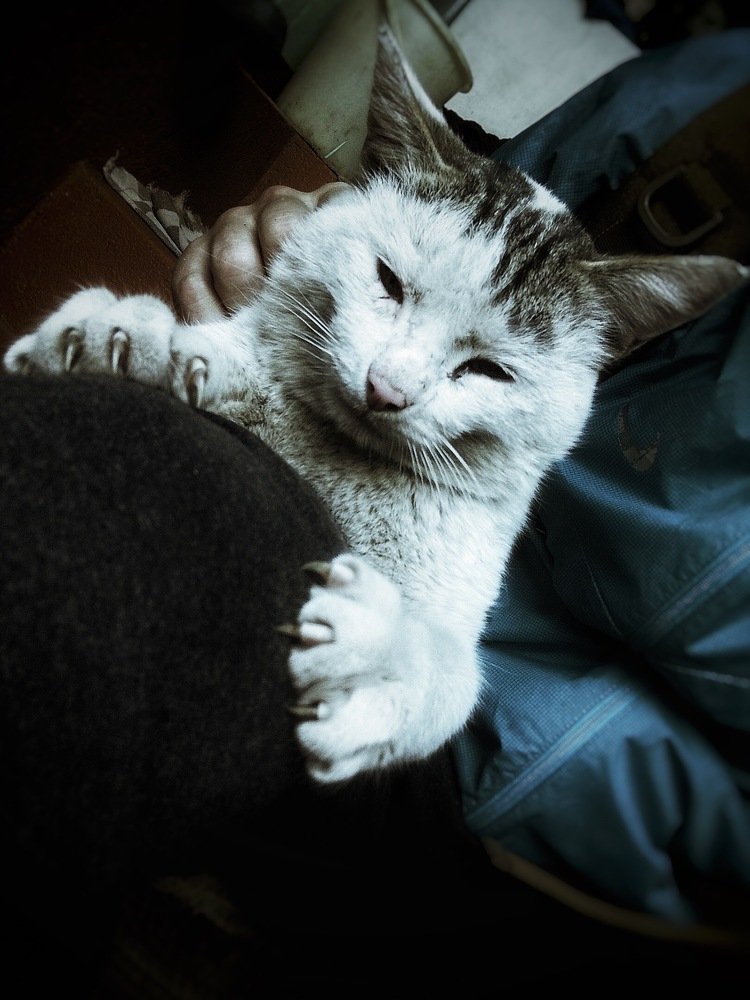 Photograph by Данил Исхаков