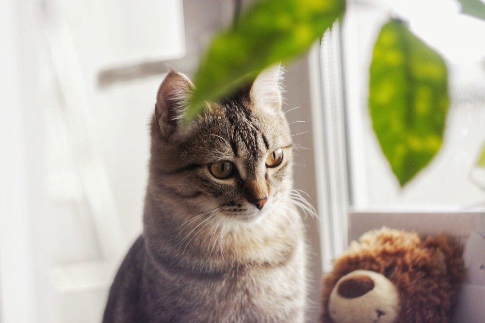 Photograph by Данил Исхаков